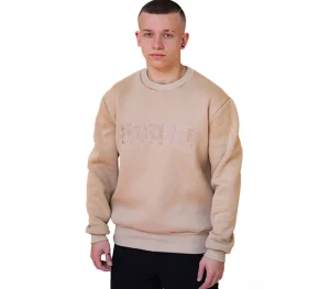Męskie Street Autonomy Bluzy>BLUZA BEZ KAPTURA MAZE BEIGE 2023