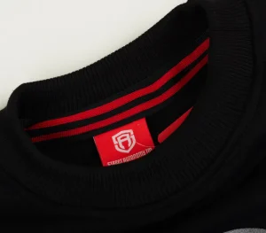 Męskie Street Autonomy Bluzy>Bluza bez kaptura Ebra black/silver 2021