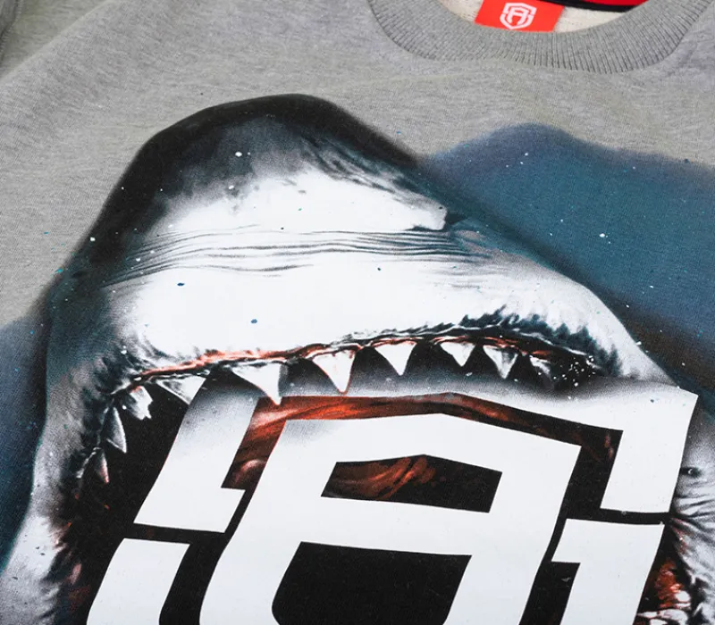 bluza_bez_kaptura_street__8-4.webp Męskie Street Autonomy Bluzy>Bluza bez kaptura Sharkins grey 2021