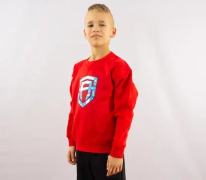 Dzieci Street Autonomy Bluzy>Bluza dziecięca bez kaptura Many Logo red 2021