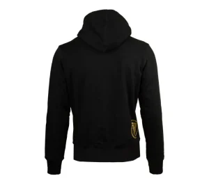 Męskie Street Autonomy Bluzy>Bluza z kapturem Ebra black/gold 2021